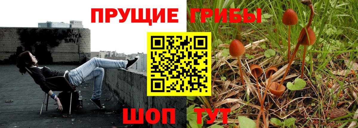 где можно купить наркотик  Псилоцибиновые грибы Psilocybe  Вход с VPN  Советская Гавань 