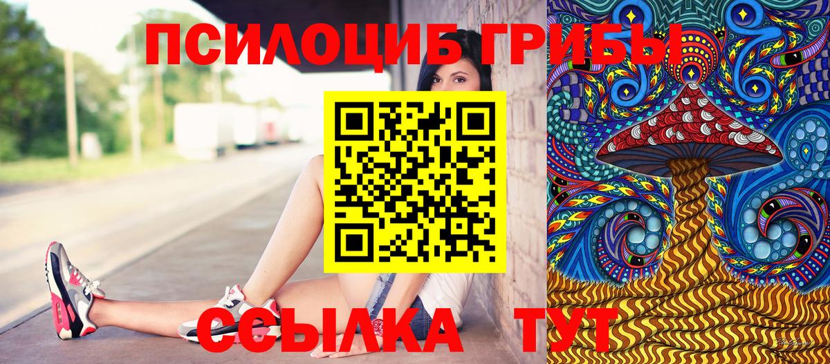Галлюциногенные грибы мухоморы Советская Гавань